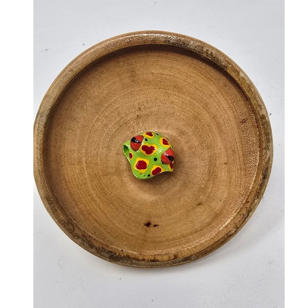 Vtg whimsical wooden trinket box poison dart frog stuck in the lid amphibian